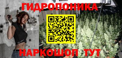 шишки Первоуральск